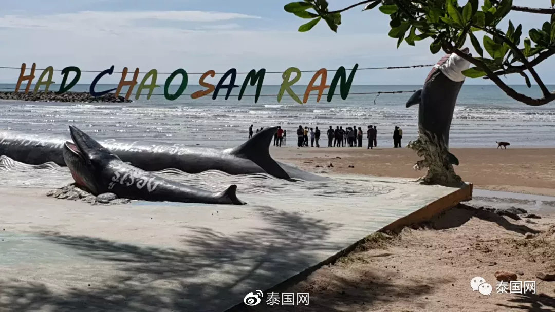 泰国挽救旅游业新大招,泰国270天旅游签证详解(图8)