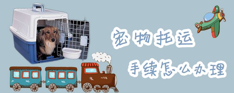 宠物托运需要什么手续