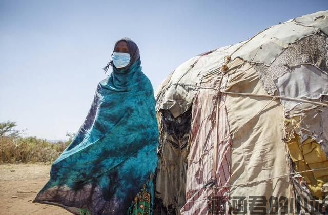 全球1.55亿人面临重度粮食不安全 人数为5年来最高