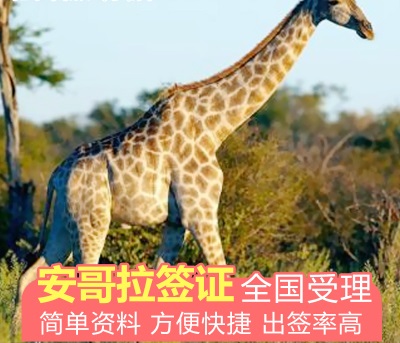 安哥拉入境最新政策消息,代办需要多少钱